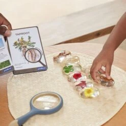 Guidecraft Specimen Stones: Plants -Children Toy Store pfhkhdzr8pisw9i3p25y