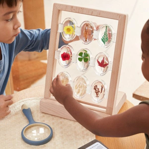 Guidecraft Specimen Stones Tabletop Stand 8 Guidecraft Specimen Stones Tabletop Stand - Image 6