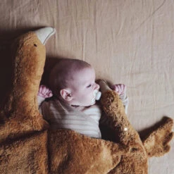 SENGER Cuddly Animal - Goose Large Rust W Removable Heat/Cool Pack 16 SENGER Cuddly Animal - Goose Large Rust W Removable Heat/Cool Pack -Children Toy Store senger cuddly animal goose rust 1 1200x1200 be23f6ce 47ce 4226 a181 5c4675bc8247