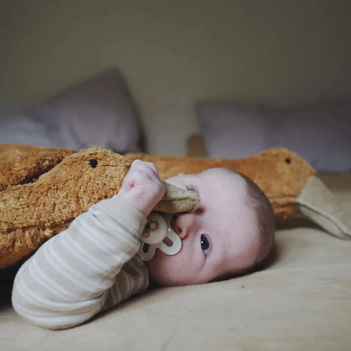 SENGER Cuddly Animal - Goose Large Rust W Removable Heat/Cool Pack 10 SENGER Cuddly Animal - Goose Large Rust W Removable Heat/Cool Pack - Image 8