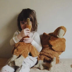 SENGER Cuddly Animal - Goose Large Rust W Removable Heat/Cool Pack 15 SENGER Cuddly Animal - Goose Large Rust W Removable Heat/Cool Pack -Children Toy Store senger cuddly animal goose rust 3 1200x1200 3feedcce 0333 4f8d 84cc 6f6a682f04cd