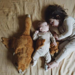 SENGER Cuddly Animal - Goose Small Rust Limited Edition W Removable Heat/Cool Pack -Children Toy Store senger cuddly animal goose rust 5 1200x1200 fb987c70 cea5 4808 bd56 25a6ae2520e7