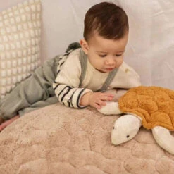 SENGER Cuddly Animal - Turtle Small Rust W Removable Heat/Cool Pack 8 SENGER Cuddly Animal - Turtle Small Rust W Removable Heat/Cool Pack -Children Toy Store senger cuddly animal turtle small rust w removable heat cool pack SN Y21074 2 1200x1200 cc3b3e3c 9afd 49c2 8dbb 599dacbd7e8c