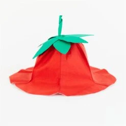 2025 New Sarah’s Silks Strawberry Hat