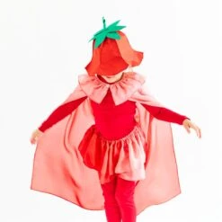 2025 New Sarah’s Silks Strawberry Hat 13 2025 New Sarah’s Silks Strawberry Hat -Children Toy Store valentineslifestyles4
