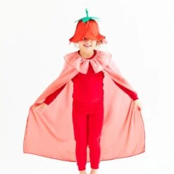 2025 New Sarah’s Silks Strawberry Hat 12 2025 New Sarah’s Silks Strawberry Hat -Children Toy Store valentineslifestyles 4acc91d5 eec9 47d8 a998 17a74da23374