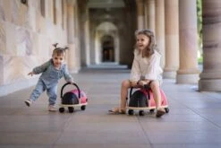 Wheely Bug Ladybug Small 15 Wheely Bug Ladybug Small -Children Toy Store wheely bugs ladybug mall 8