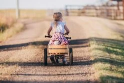 Wishbone Cargo Bin -Children Toy Store wishbone cargo bin 06 939x626 d67e0c5e b77e 4a48 90b6 a8c9f86e8ac9