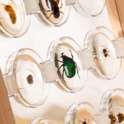 Guidecraft Specimen Stones Tabletop Stand 21 Guidecraft Specimen Stones Tabletop Stand -Children Toy Store xqoc2vmanj5qamvv1aod 9e0ed1c1 8803 4b19 b543 80e9585e3b6e