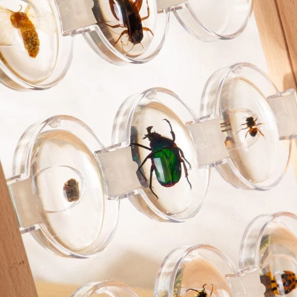 Guidecraft Specimen Stones Tabletop Stand 10 Guidecraft Specimen Stones Tabletop Stand - Image 8